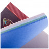 Папка-планшет для пастели БОЛЬШОГО ФОРМАТА (297х420 мм) А3, 20 л. тонированная бумага, 4 цвета, 200 г/м2, склейка, "Бабочка", ПБ/А3