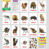 Карточки Домана 8 развивающих брошюр по методике ГЛЕНА ДОМАНА, 145 изображений, ЮНЛАНДИЯ, 691022