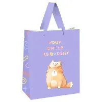 Пакет подарочный 18*23*10см MESHU "Your smile is bright", выб. лак, белый крафт