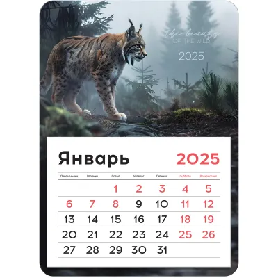 Календарь отрывной на магните на 2027 г., BRAUBERG, 130x180 мм, склейка, "Котики", 118478