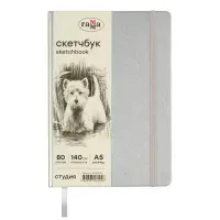 Скетчбук 80л., А5 Гамма "Студия", серебро, твердая обложка, на резинке, слоновая кость, 140г/м2