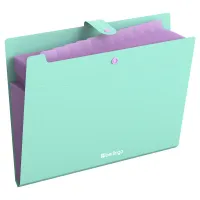 Папка 12 отделений Berlingo "Haze", А4, 600мкм, на кнопке, мятная