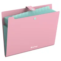 Папка 12 отделений Berlingo "Haze", А4, 600мкм, на кнопке, розовая