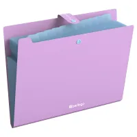 Папка 12 отделений Berlingo "Haze", А4, 600мкм, на кнопке, сиреневая