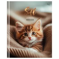 Дневник 1-4 кл. 48л. (твердый) BG "Мягкий", матовая ламинация