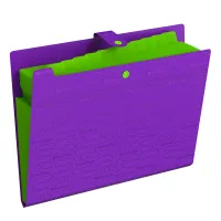 Папка 12 отделений Berlingo "Your Way", А4, 600мкм, на кнопке, фиолетовая