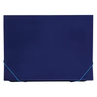 Папка 13 отделений СТАММ А4, 500мкм, на резинке, индексные разделители, пластик, черная