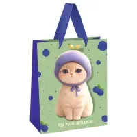 Пакет подарочный 18*23*10см MESHU "Berry cat", матовая ламинация