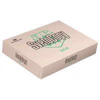 Бумага офисная А4, 80 г/м2, 500 л., SVETOCOPY ECO, белизна 60%, Россия