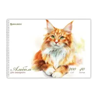 Альбом для акварели А4 40 л., бумага 200 г/м2, гребень, твердая подложка, BRAUBERG, "Мейн-кун", 116884