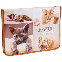 Папка для тетрадей BRAUBERG KIDS А4, 1 отделение, пластик, молния вокруг, "Fire split", 273338