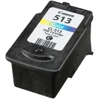 Картридж ориг. Canon CL-513 цветной для Canon PIXMA iP-2700/MP-240/250/252/260/270/272/280 (349стр.)