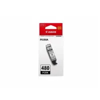 Картридж ориг. Canon PGI-480PGBK черный для Canon Pixma TR7540/TR8540/TS6140/TS8140/TS9140 (200стр.) (ПОД ЗАКАЗ)