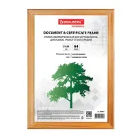 Рамка 21х30 см, дерево, багет 18 мм, BRAUBERG "HIT", канадская сосна, стекло, 390021