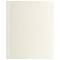 Листы для фотоальбома магнитные 23х28 см, КОМПЛЕКТ 10 шт., BRAUBERG, 391312