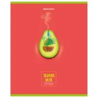 Тетрадь предметная "AVOCADO" 48 л., глянцевый лак, ХИМИЯ, клетка, BRAUBERG, 404284