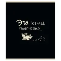 Тетрадь А5 48 л. ПЗБМ, скоба, клетка, матовая ламинация, брайль, "Тетрадь подписана" (микс в ПУ), 23447