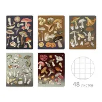 Тетрадь А5, 48 л., АЛЬТ скоба, клетка, матовая ламинация, "Грибная феерия" (5 видов), 7-48-1325