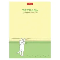 Тетрадь-словарь для записи иностранных слов А6 24 л., скоба, линия, HATBER, "Умный котик", 090006, 24Т6В5_29740