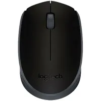 Мышь беспроводная LOGITECH M171, 2 кнопки + 1 колесо-кнопка, оптическая, черная