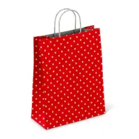 Крафт-пакет бумажный "Горох на красном" 22х12х25 см, с кручеными ручками, 100 г/м2, белый, 112979
