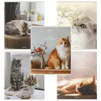 Тетради ДЭК А5 48 л. КОМПЛЕКТ 5 шт. BRAUBERG, скоба, клетка, матовая ламинация, "Cats", 404673