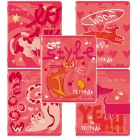 Тетради ДЭК А5 48 л. КОМПЛЕКТ 5 шт. BRAUBERG, скоба, клетка, TWIN-лак, "PINK MOOD", 404930