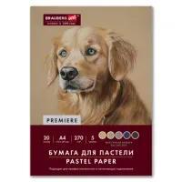Бумага для пастели ФАКТУРНАЯ, А4, в папке, 20 листов, 5 цветов, 270 г/м2, BRAUBERG ART, 117755