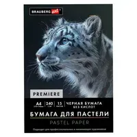 Бумага для пастели АБРАЗИВНАЯ А4, 190х270 мм, в папке, 15 листов, ЧЕРНАЯ, 240 г/м2, BRAUBERG ART, 117765