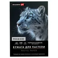 Бумага для пастели АБРАЗИВНАЯ А3, 270х380 мм, в папке, 15 листов, ЧЕРНАЯ, 240 г/м2, BRAUBERG ART, 117766