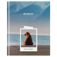 Дневник 1-11 кл. 40л. (твердый) BG "Лови момент", глянцевая ламинация