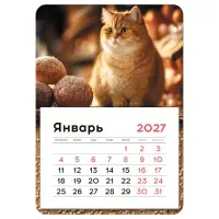Календарь отрывной на магните, 130*180 мм, склейка BG "Кот", 2027г.