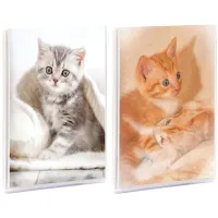 Фотоальбом 36 фото 10*15см, Veld-co "Dog and cat", ПП карман