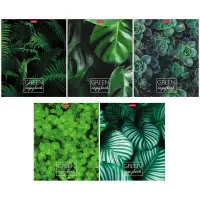 Тетрадь А5, 96 л., HATBER, скоба, клетка, обложка картон, "BEAUTIFUL COLOURE" (микс), 046858, 96Т5В1