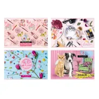 Альбом для рисования 24л., А4, на скрепке BG "Mix. Девочки", ассорти