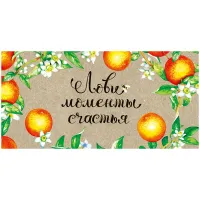 Конверт для денег Арт и Дизайн "Лови моменты счастья", 83*167мм