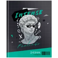 Дневник 1-11 кл. 40л. (твердый) ArtSpace "Intense Feeling", матовая ламинация, выб. лак