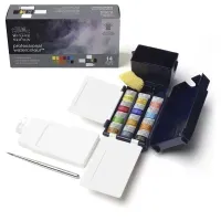 Акварель Winsor&Newton "Professional", 12цв., мал. кюв. + аксессуары (палитра, губка, емкость для воды), пластик. коробка