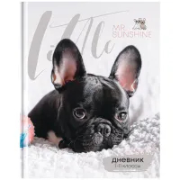 Дневник 1-11 кл. 40л. (твердый) ArtSpace "Mr. sunshine", глянцевая ламинация