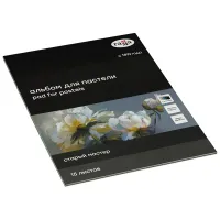 Альбом для пастели, 15л., 300*400мм, на склейке Гамма "Старый Мастер", 160г/м2, ячеистая фактура, 5 цветов, холодные тона