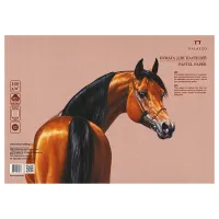 Бумага для пастели, 50л., 350*500мм, Лилия Холдинг "Палаццо", "Late" (бежевый), 160г/м2