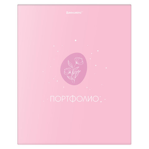 Папка-портфолио универсальная, 4 кольца, 20 файлов 10 вкладышей, 7БЦ матовая, BRAUBERG, Дизайн2, 117558 по низкой цене оптом 