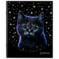 Дневник 1-11 класс 40л, на скобе, ПИФАГОР, обложка картон, Котик, 106811