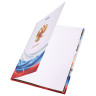 Дневник МП 1-11 класс 40 л., твердый, BRAUBERG, ламинация, цветная печать, "РОССИЙСКОГО ШКОЛЬНИКА-6", 106643 по низкой цене оптом 