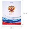 Дневник МП 1-11 класс 40 л., твердый, BRAUBERG, ламинация, цветная печать, "РОССИЙСКОГО ШКОЛЬНИКА-6", 106643 по низкой цене оптом 