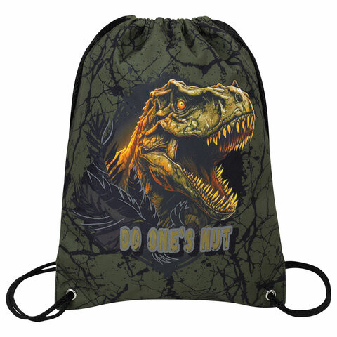 Мешок для обуви BRAUBERG PREMIUM, карман, подкладка, светоотражайка, 43х33 см, Dino attack, 272424 по низкой цене оптом 