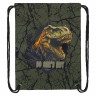 Мешок для обуви BRAUBERG PREMIUM, карман, подкладка, светоотражайка, 43х33 см, Dino attack, 272424 по низкой цене оптом 