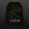 Мешок для обуви BRAUBERG PREMIUM, карман, подкладка, светоотражайка, 43х33 см, Dino attack, 272424 по низкой цене оптом 