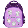 Ранец BRAUBERG KIDS STANDARD, 2 отделения, "Playing kittens", 36х28х14 см, 272038 по низкой цене оптом 
