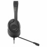 Наушники с микрофоном (гарнитура) A4TECH Fstyler FH100U, проводные, 2 м, USB, черные, 1774509 по низкой цене оптом Краснодар, Москва, Уфа, Казань, Барнаул, Владивосток, Хабаровск, Сахалин, Красноярск, Екатеренбург, 